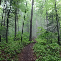 Appalachian Trail