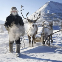 The Tundra Tour